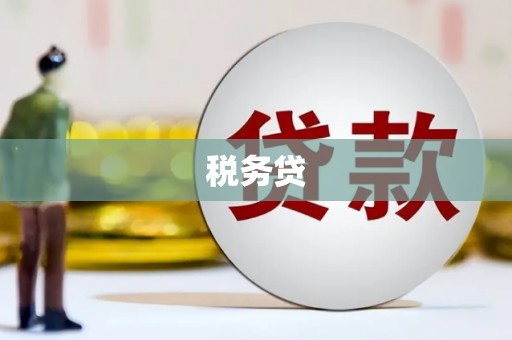 稻城税务贷