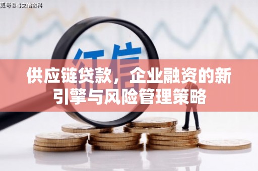 稻城供应链贷款，企业融资的新引擎与风险管理策略