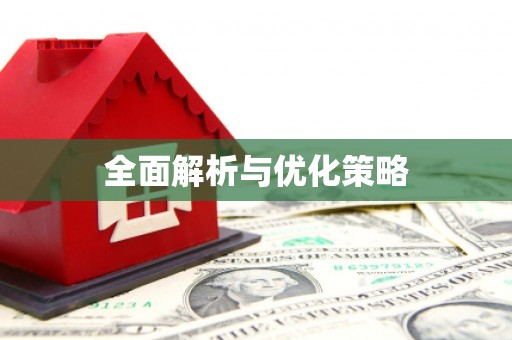 稻城全面解析与优化策略