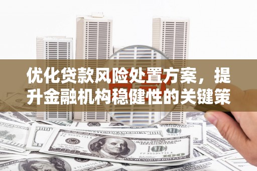 稻城优化贷款风险处置方案，提升金融机构稳健性的关键策略