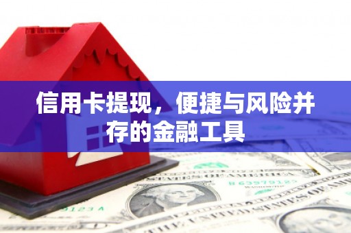 稻城信用卡提现，便捷与风险并存的金融工具