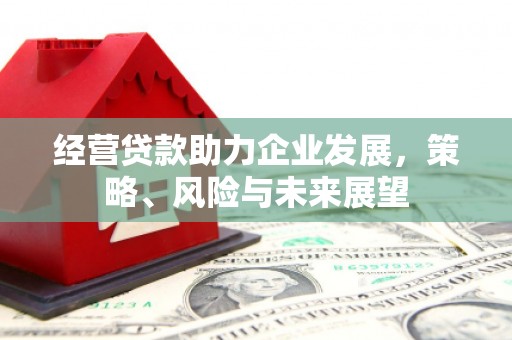 稻城经营贷款助力企业发展，策略、风险与未来展望
