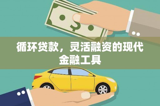 稻城循环贷款，灵活融资的现代金融工具