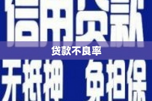 稻城贷款不良率
