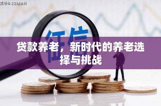 稻城贷款养老，新时代的养老选择与挑战