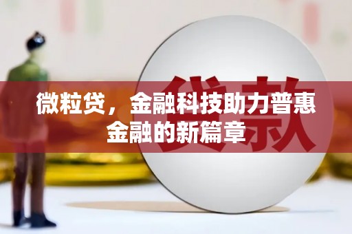 稻城微粒贷，金融科技助力普惠金融的新篇章