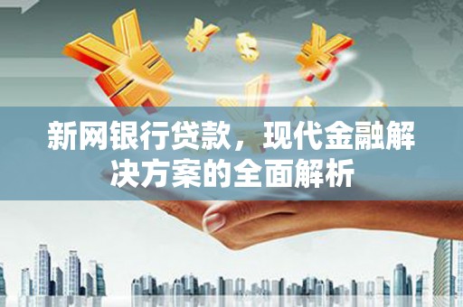 稻城新网银行贷款，现代金融解决方案的全面解析