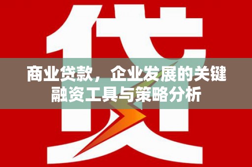 稻城商业贷款，企业发展的关键融资工具与策略分析