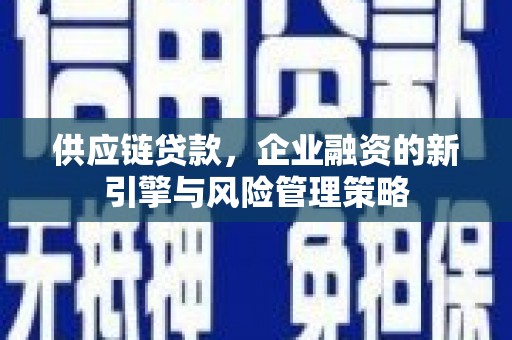 稻城供应链贷款，企业融资的新引擎与风险管理策略