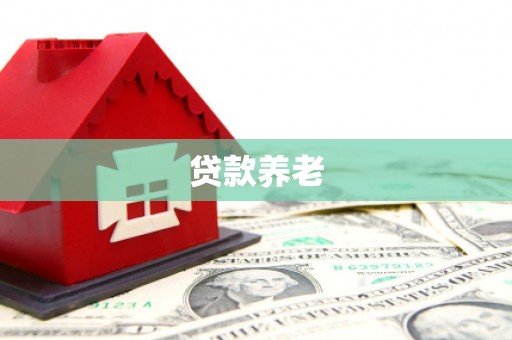 稻城贷款养老