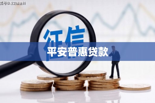 稻城平安普惠贷款