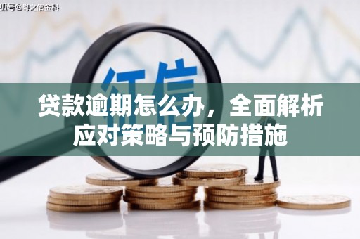 稻城贷款逾期怎么办，全面解析应对策略与预防措施