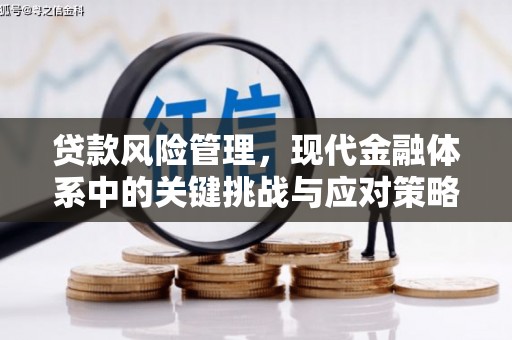 稻城贷款风险管理，现代金融体系中的关键挑战与应对策略