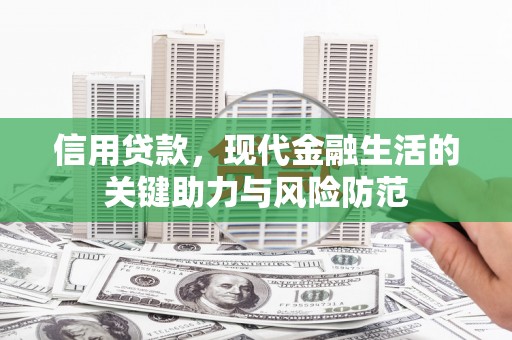 稻城信用贷款，现代金融生活的关键助力与风险防范