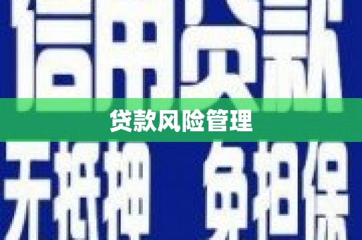 稻城贷款风险管理