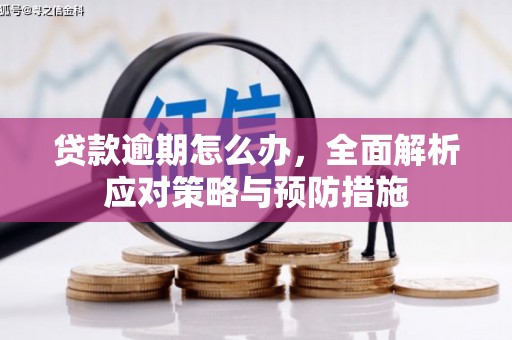 稻城贷款逾期怎么办，全面解析应对策略与预防措施