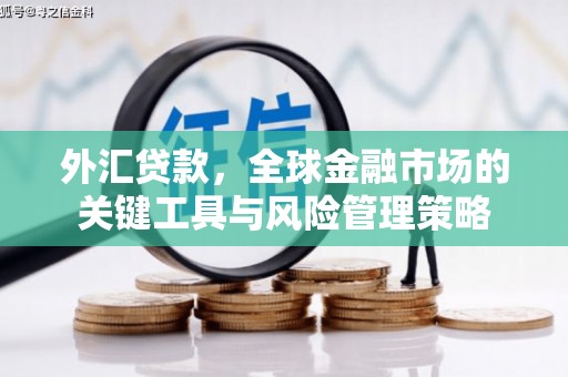 稻城外汇贷款，全球金融市场的关键工具与风险管理策略