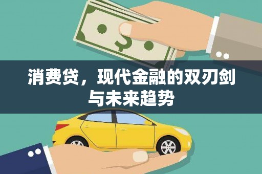 稻城消费贷，现代金融的双刃剑与未来趋势