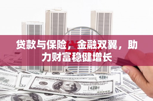 稻城贷款与保险，金融双翼，助力财富稳健增长