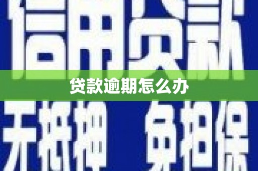 稻城贷款逾期怎么办