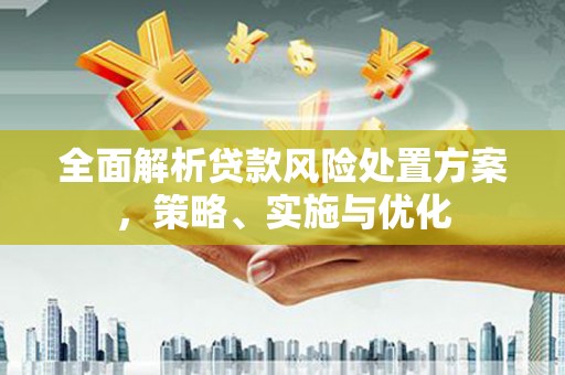 稻城全面解析贷款风险处置方案，策略、实施与优化