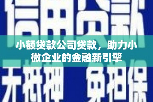 稻城小额贷款公司贷款，助力小微企业的金融新引擎