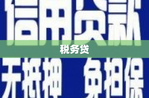 稻城税务贷