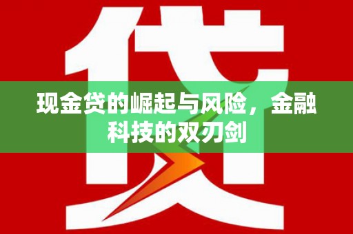 稻城现金贷的崛起与风险，金融科技的双刃剑