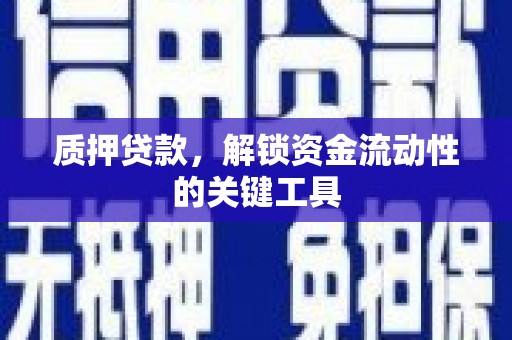 稻城质押贷款，解锁资金流动性的关键工具