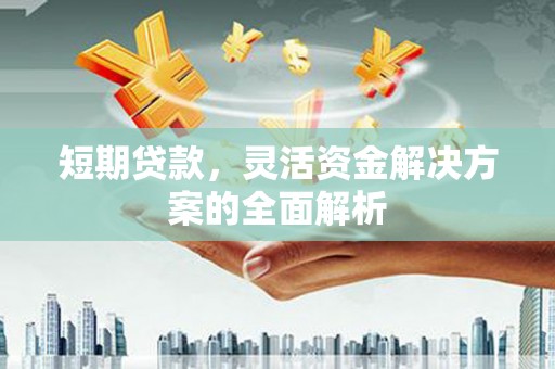 稻城短期贷款，灵活资金解决方案的全面解析
