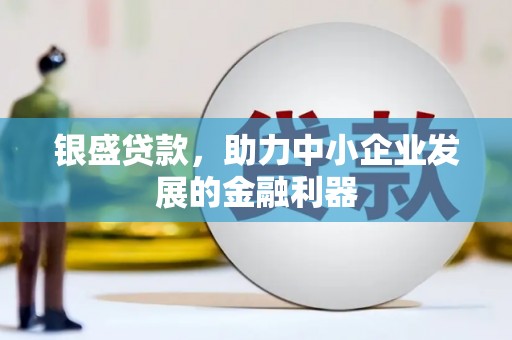 稻城银盛贷款，助力中小企业发展的金融利器