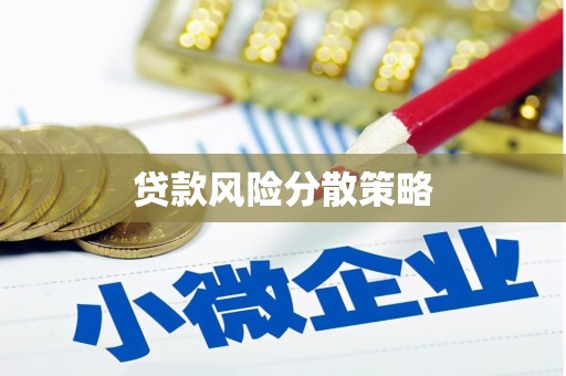 稻城贷款风险分散策略
