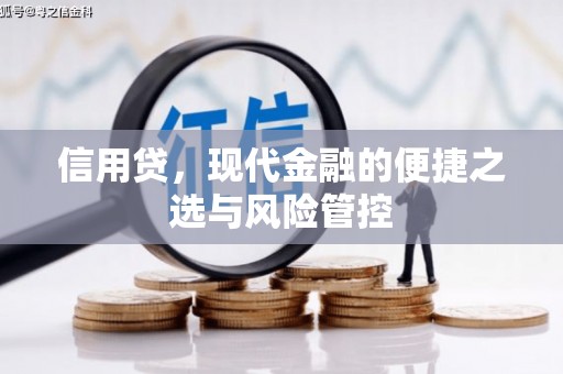 稻城信用贷，现代金融的便捷之选与风险管控