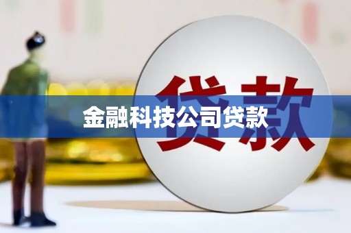 稻城金融科技公司贷款