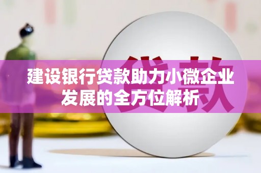 稻城建设银行贷款助力小微企业发展的全方位解析