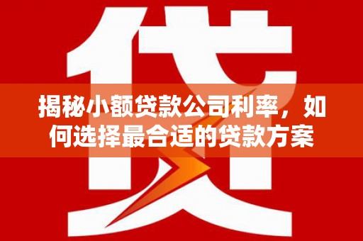 稻城揭秘小额贷款公司利率，如何选择最合适的贷款方案