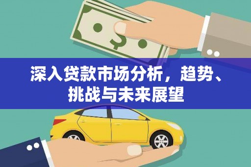 稻城深入贷款市场分析，趋势、挑战与未来展望