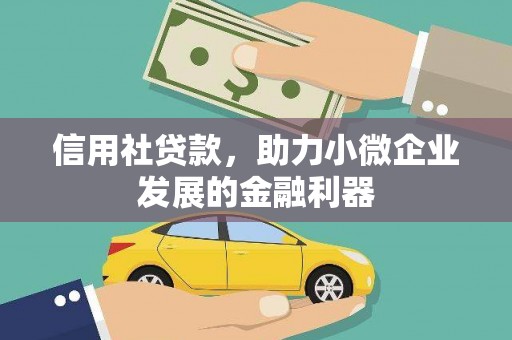稻城信用社贷款，助力小微企业发展的金融利器