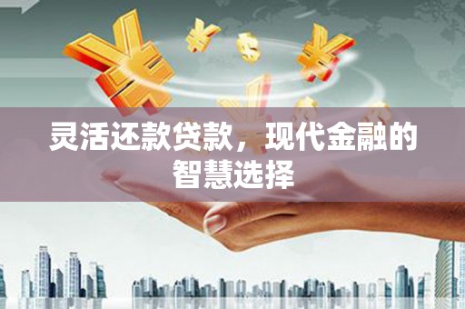 稻城灵活还款贷款，现代金融的智慧选择