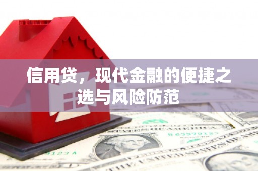 稻城信用贷，现代金融的便捷之选与风险防范