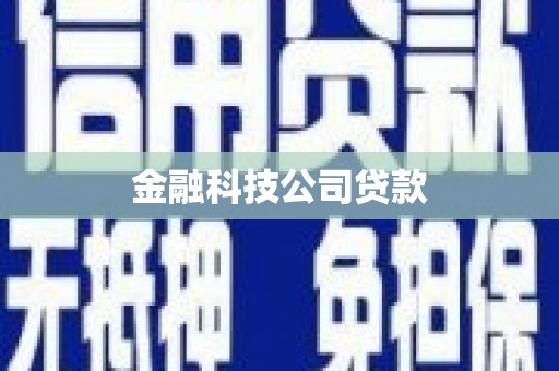 稻城金融科技公司贷款