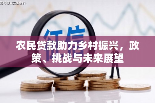 稻城农民贷款助力乡村振兴，政策、挑战与未来展望