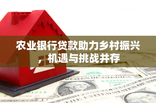 稻城农业银行贷款助力乡村振兴，机遇与挑战并存