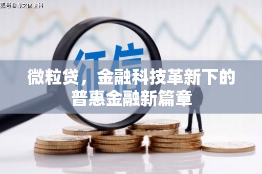 稻城微粒贷，金融科技革新下的普惠金融新篇章
