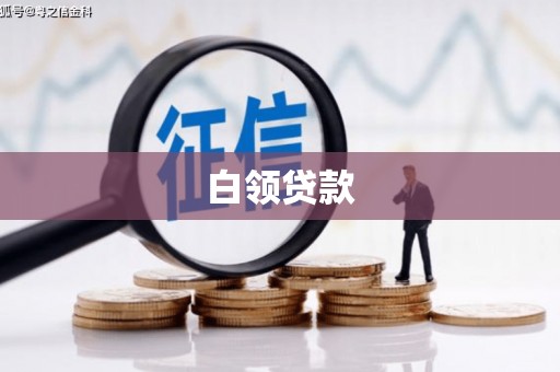 稻城白领贷款