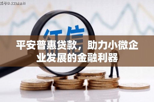 稻城平安普惠贷款，助力小微企业发展的金融利器