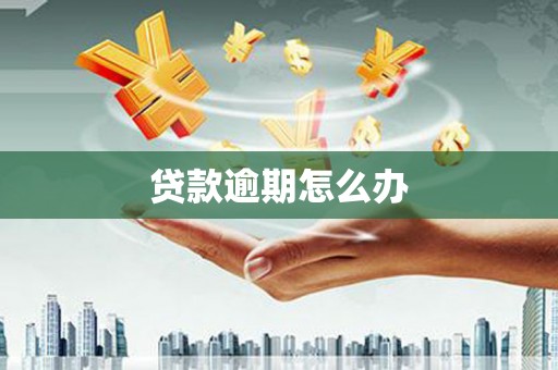 稻城贷款逾期怎么办