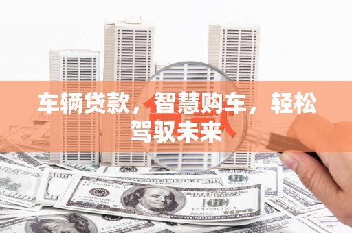 稻城车辆贷款，智慧购车，轻松驾驭未来