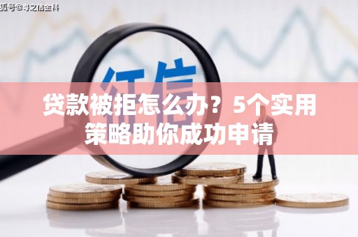 稻城贷款被拒怎么办？5个实用策略助你成功申请