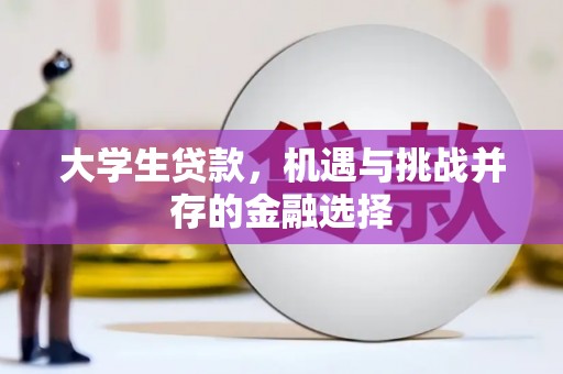 稻城大学生贷款，机遇与挑战并存的金融选择